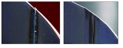 ����������ʢ